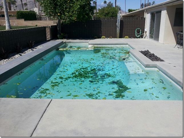 Read more about the article Off Season Pool Service And What You Need To Know