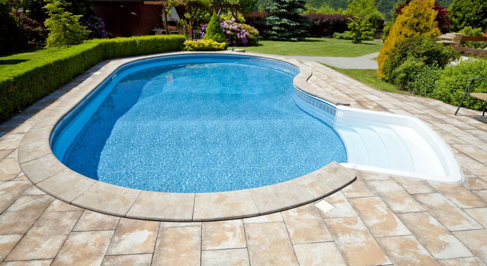 5 Great Duck Repellent Tips For A Cleaner Pool In Orange, Ca.