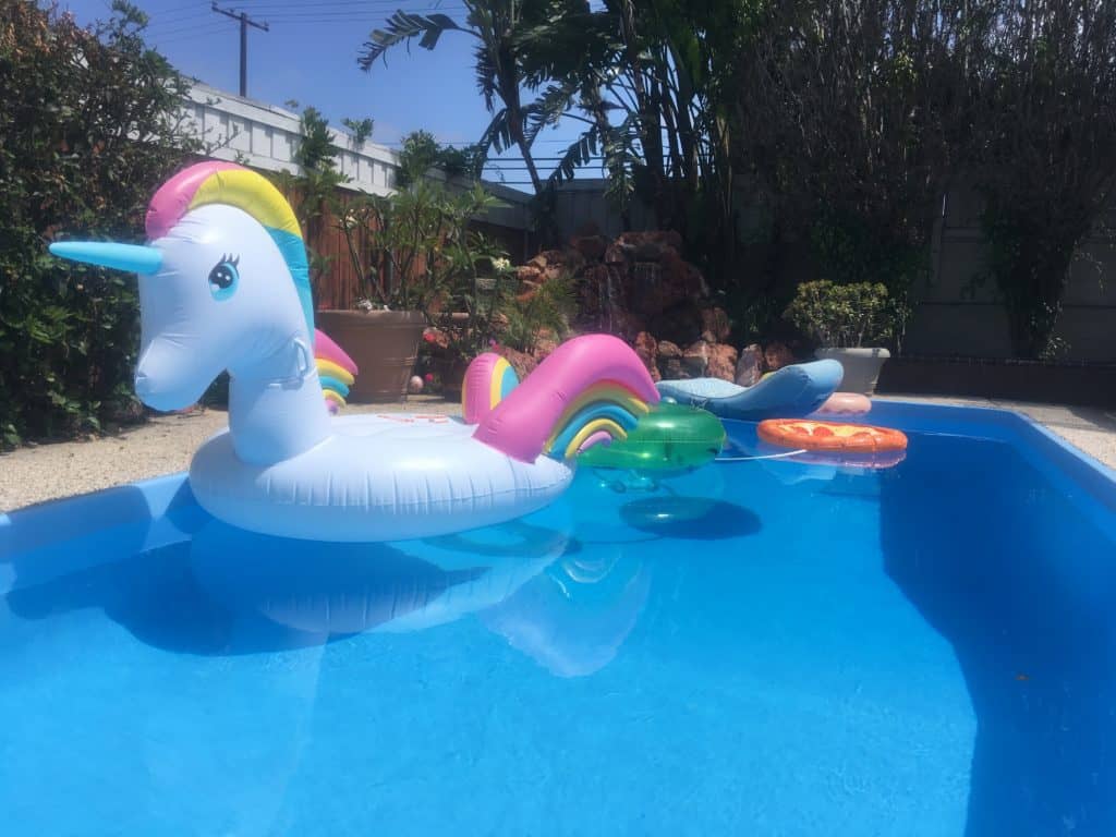 5 Great Duck Repellent Tips Ca Pool heaven Expert Pool Service